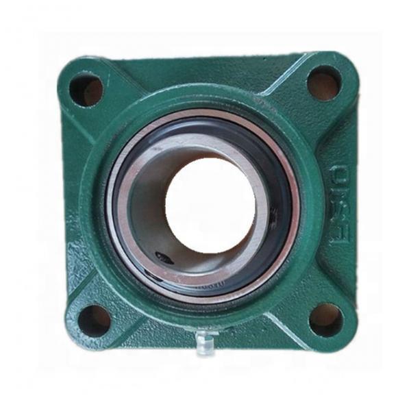 Chrome Steel Pillow Block Bearing with Flange Units F205 #1 image